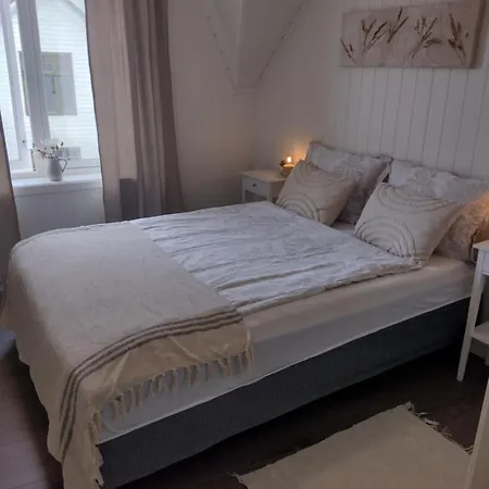 Light Terrace Daire *