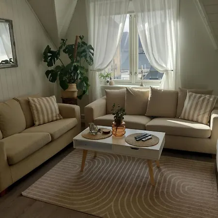 Light Terrace Daire *