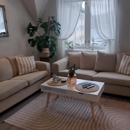Light Terrace Apartment